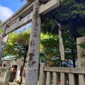 実際訪問したユーザーが直接撮影して投稿した日本橋堀留町神社椙森神社の写真