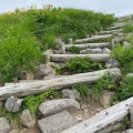 実際訪問したユーザーが直接撮影して投稿した山 / 峠月山の写真