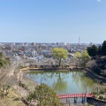 実際訪問したユーザーが直接撮影して投稿した高師公園茂原公園の写真