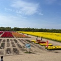 実際訪問したユーザーが直接撮影して投稿した夏井公園胎内市胎内フラワーパークの写真