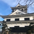 実際訪問したユーザーが直接撮影して投稿した館山城 / 城跡館山城の写真