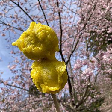 東山公園のundefinedに実際訪問訪問したユーザーunknownさんが新しく投稿した新着口コミの写真