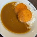 実際訪問したユーザーが直接撮影して投稿した拾石町カレーカレーハウスCoCo壱番屋 蒲郡拾石町店の写真