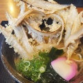 L満月ごぼう天うどん - 実際訪問したユーザーが直接撮影して投稿した千代ケ崎うどんうどん満月の写真のメニュー情報