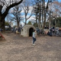 実際訪問したユーザーが直接撮影して投稿した代田公園羽根木公園の写真