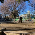 実際訪問したユーザーが直接撮影して投稿した砧公園草山公園の写真