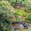 実際訪問したユーザーが直接撮影して投稿した城崎町湯島温泉旅館三木屋の写真