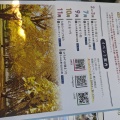 実際訪問したユーザーが直接撮影して投稿した久泉自然名所太原のイチョウの写真