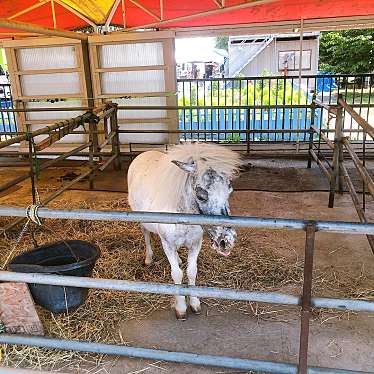 ふれあい動物園のundefinedに実際訪問訪問したユーザーunknownさんが新しく投稿した新着口コミの写真