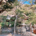 実際訪問したユーザーが直接撮影して投稿した雪ノ下神社白旗神社の写真