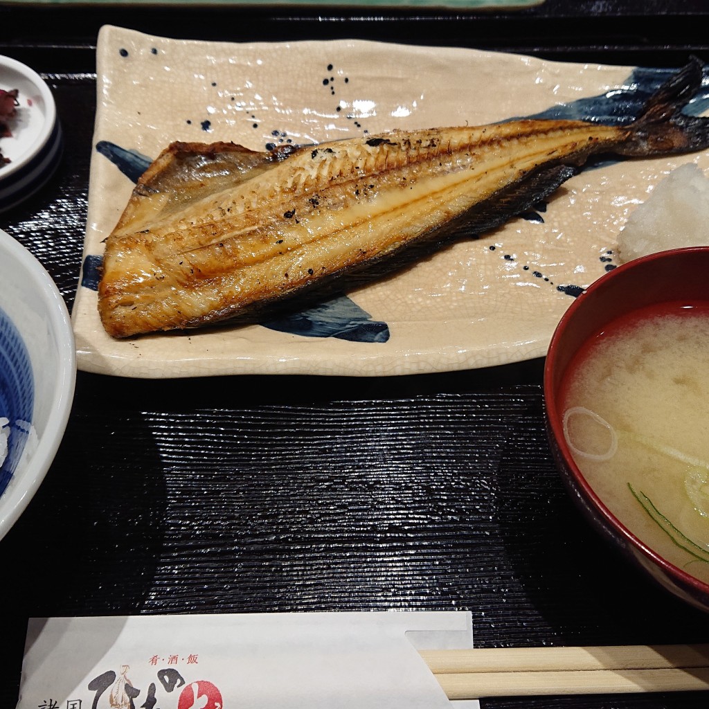 ユーザーが投稿したLunch半身定食の写真 - 実際訪問したユーザーが直接撮影して投稿した丸の内居酒屋諸国 ひものとの写真