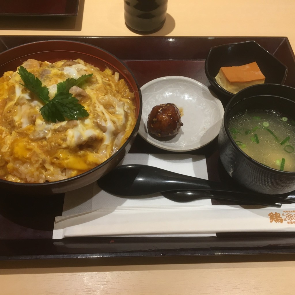 ユーザーが投稿した親子丼の写真 - 実際訪問したユーザーが直接撮影して投稿した栄鶏料理鶏三和 三越栄店の写真