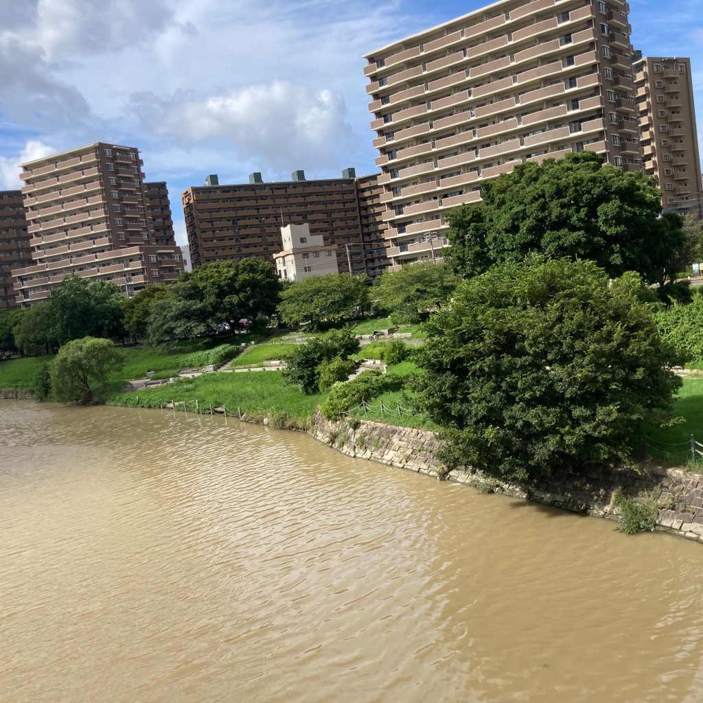 実際訪問したユーザーが直接撮影して投稿した美野島公園第37号那珂川河川緑地の写真
