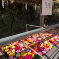 実際訪問したユーザーが直接撮影して投稿した和霊町神社和霊神社の写真