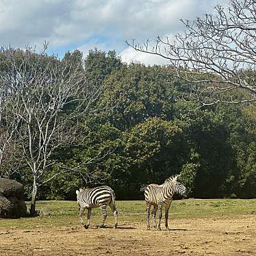 豊橋総合動植物公園のundefinedに実際訪問訪問したユーザーunknownさんが新しく投稿した新着口コミの写真