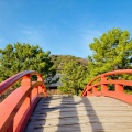 実際訪問したユーザーが直接撮影して投稿した金沢町寺金沢山 称名寺の写真