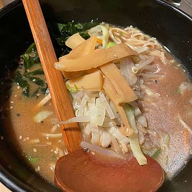 実際訪問したユーザーが直接撮影して投稿した平野ラーメン / つけ麺どさん娘の写真