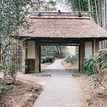 実際訪問したユーザーが直接撮影して投稿した東山和カフェ / 甘味処とらや工房の写真