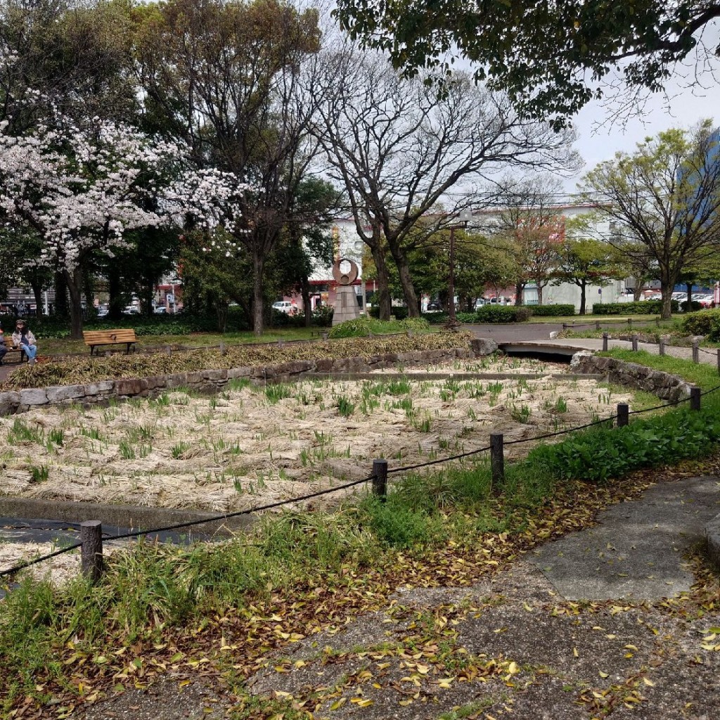 実際訪問したユーザーが直接撮影して投稿した六野公園神宮東公園北側エリアの写真