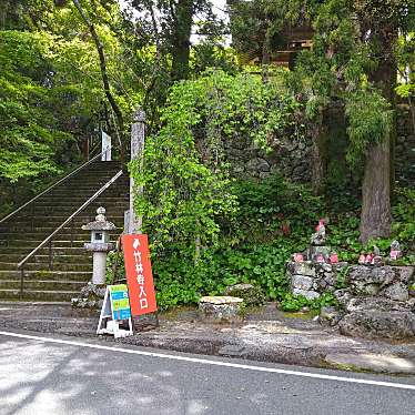 実際訪問したユーザーが直接撮影して投稿した五台山寺竹林寺の写真