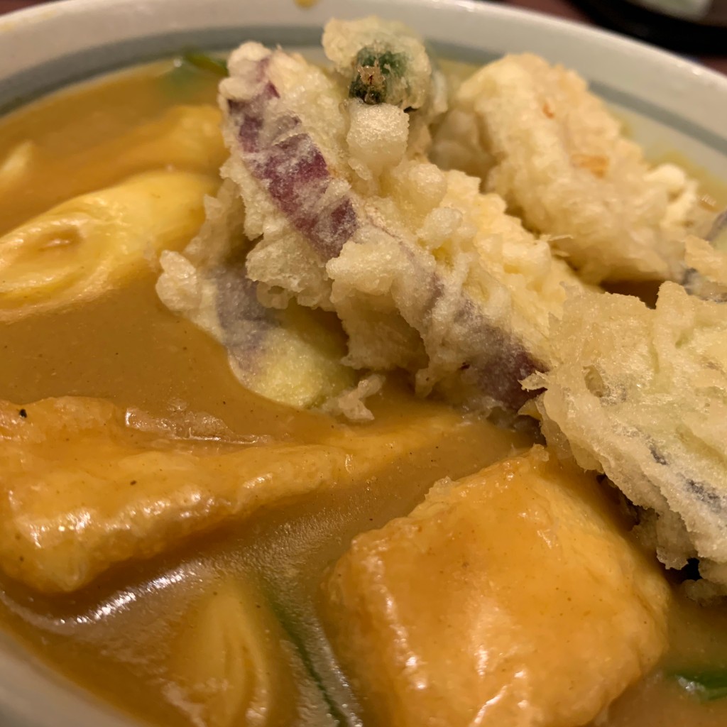 ユーザーが投稿した名物カレーうどんの写真 - 実際訪問したユーザーが直接撮影して投稿した東葛西うどん若鯱家 アリオ葛西店の写真