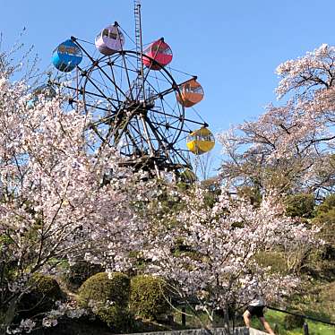 実際訪問したユーザーが直接撮影して投稿した千手町公園千手山公園の写真