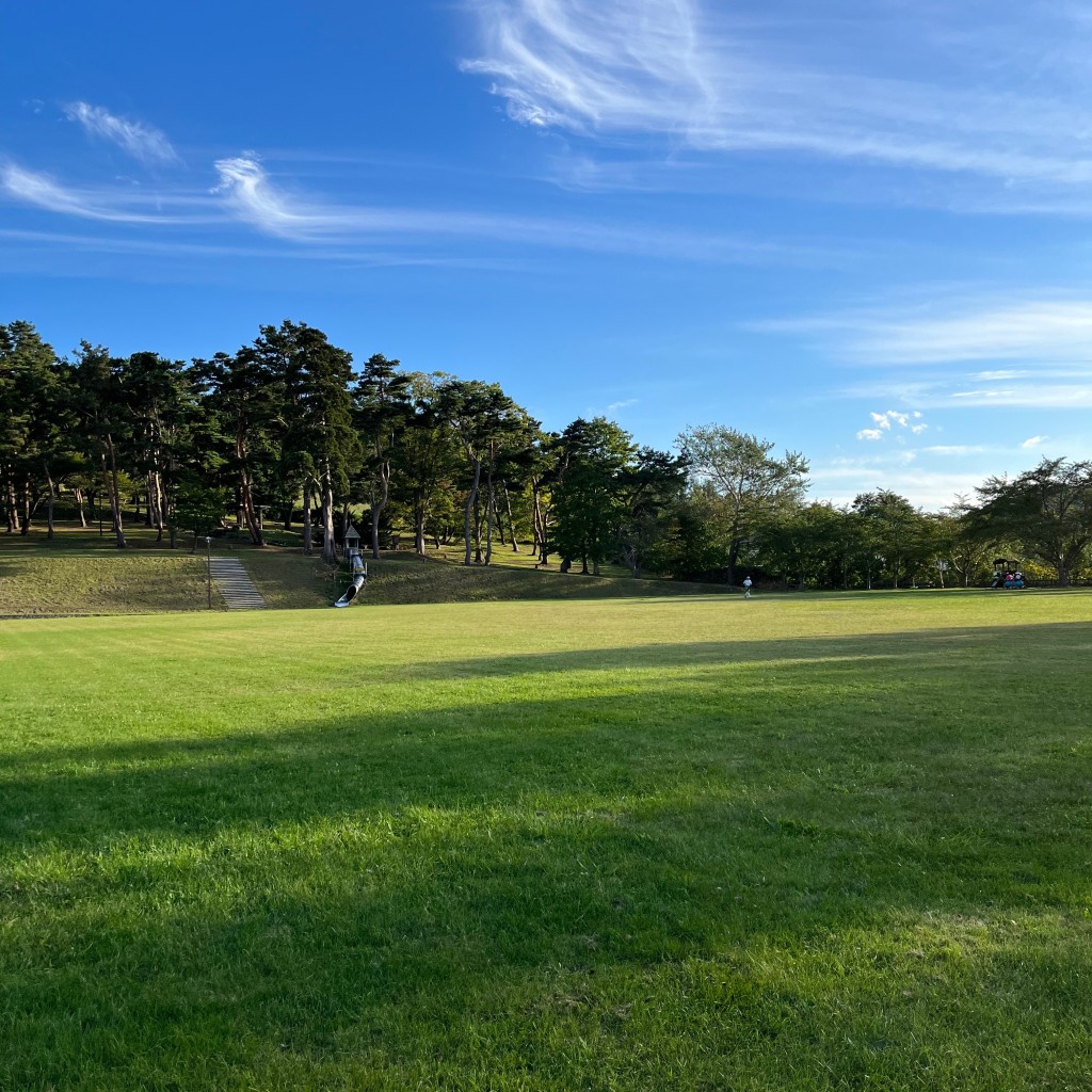 実際訪問したユーザーが直接撮影して投稿した沢町公園円山公園の写真