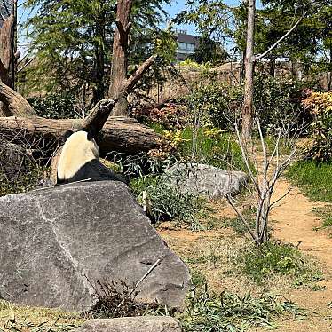 上野動物園 パンダのもりのundefinedに実際訪問訪問したユーザーunknownさんが新しく投稿した新着口コミの写真