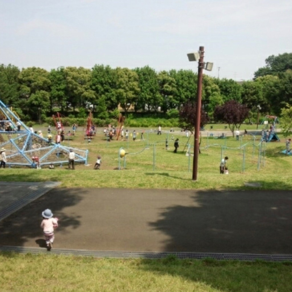 実際訪問したユーザーが直接撮影して投稿した寺山町公園長坂谷公園の写真