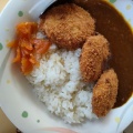 ヒレカツカレー - 実際訪問したユーザーが直接撮影して投稿した程久保うどんサバンナキッチンの写真のメニュー情報