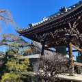 実際訪問したユーザーが直接撮影して投稿した犬山寺圓明寺の写真