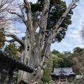 実際訪問したユーザーが直接撮影して投稿した白浜神社伊古奈比咩命神社の写真