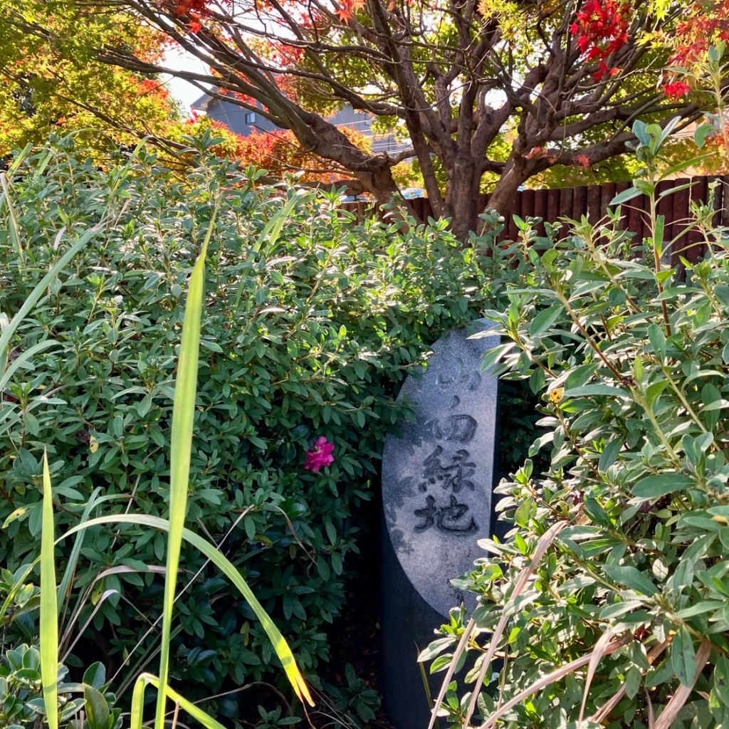 実際訪問したユーザーが直接撮影して投稿した藤川荒古公園山ノ田緑地の写真