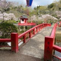 実際訪問したユーザーが直接撮影して投稿した高師公園茂原公園の写真