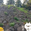 実際訪問したユーザーが直接撮影して投稿した早川城 / 城跡石垣山一夜城の写真