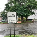 実際訪問したユーザーが直接撮影して投稿した南二条西公園円山裏参道公園の写真