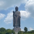 実際訪問したユーザーが直接撮影して投稿した久野町寺牛久大仏の写真