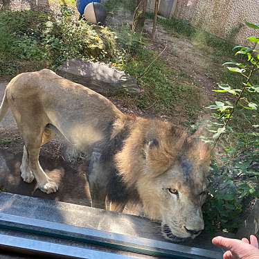 実際訪問したユーザーが直接撮影して投稿した平川町動物園平川動物公園の写真