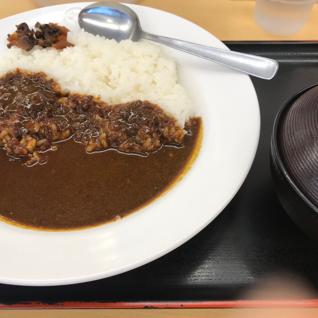 ユーザーが投稿したカレーの写真 - 実際訪問したユーザーが直接撮影して投稿した大手町牛丼松屋 広島紙屋町店の写真