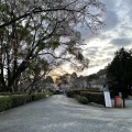 実際訪問したユーザーが直接撮影して投稿した根来寺根來寺の写真