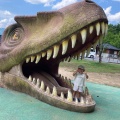 実際訪問したユーザーが直接撮影して投稿した村岡町寺尾レジャー施設かつやま恐竜の森の写真