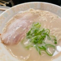 実際訪問したユーザーが直接撮影して投稿した天神ラーメン / つけ麺屋台屋ぴょんきちの写真