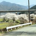 実際訪問したユーザーが直接撮影して投稿した河川小佐川の写真