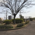 実際訪問したユーザーが直接撮影して投稿した楠町公園大倉山公園の写真