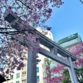 実際訪問したユーザーが直接撮影して投稿した蔵前神社蔵前神社の写真