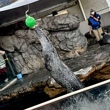 しながわ水族館のundefinedに実際訪問訪問したユーザーunknownさんが新しく投稿した新着口コミの写真