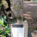 実際訪問したユーザーが直接撮影して投稿した下荒田神社荒田八幡宮の写真