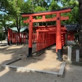 実際訪問したユーザーが直接撮影して投稿した中桜塚神社原田神社の写真