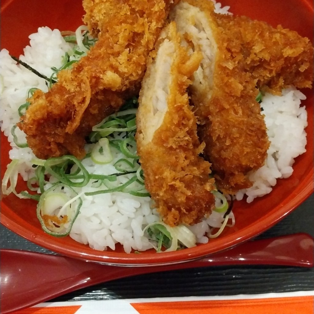 ユーザーが投稿したしょうゆかつ丼の写真 - 実際訪問したユーザーが直接撮影して投稿した六野和食 / 日本料理甘味・麺 和話 イオンモール熱田店の写真
