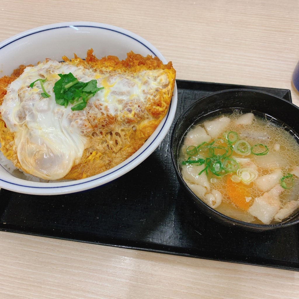 ユーザーが投稿したカツ丼(梅)の写真 - 実際訪問したユーザーが直接撮影して投稿した下とんかつかつや 東岡山店の写真